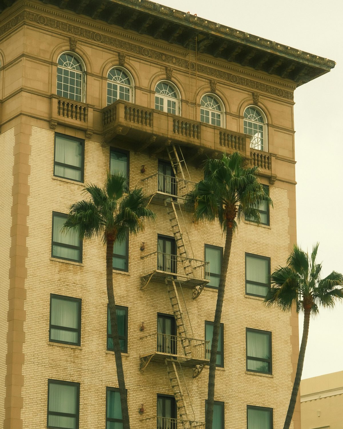 Historic Los Angeles architecture with palms and fire escape — LADWP territory