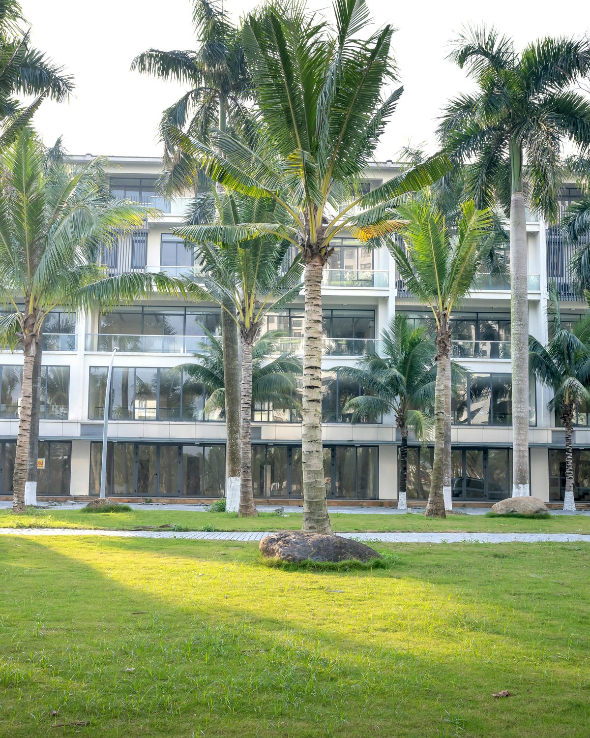 Contemporary multifamily community with palm-lined courtyard — rebate-funded toilet replacement