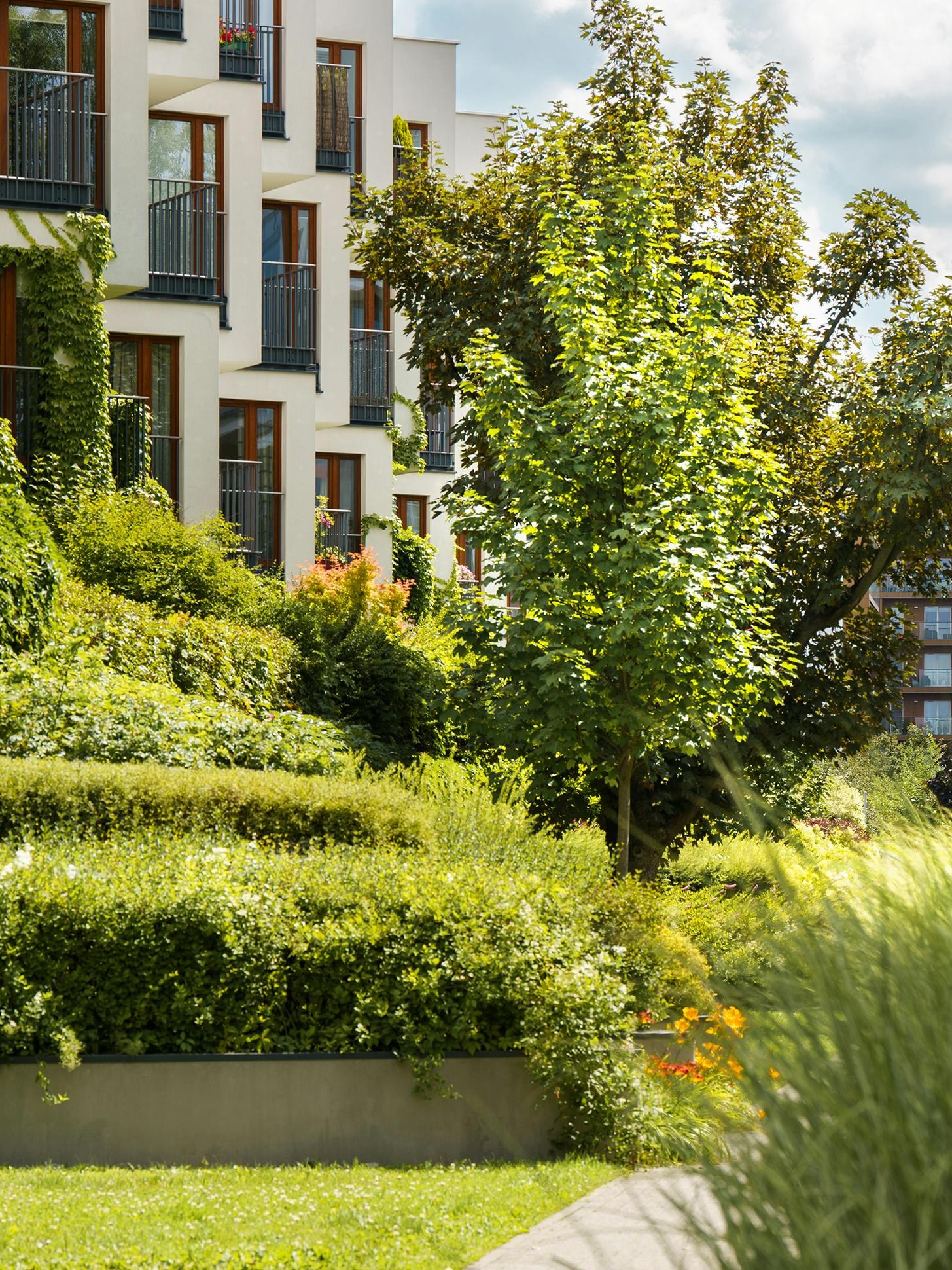 Multifamily property with irrigated landscape — LEAP turf-removal grant candidate